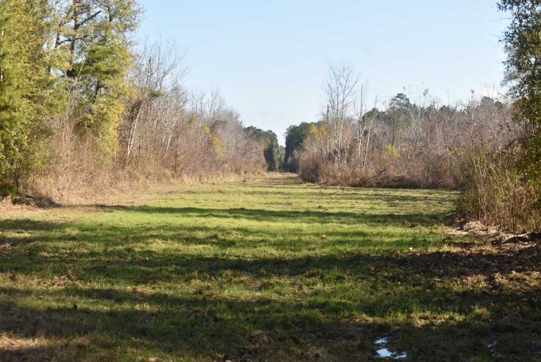 Land in Clinton, Louisiana, United States 5 - 17842845