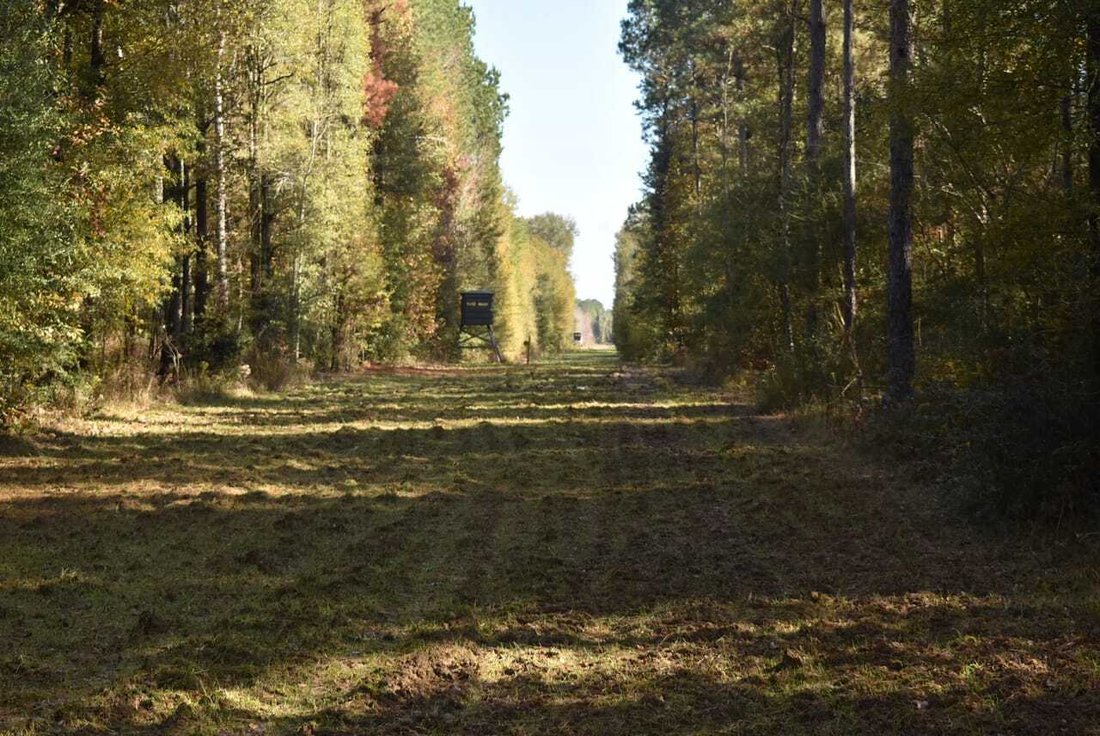Land in Clinton, Louisiana, United States 1 - 17842845
