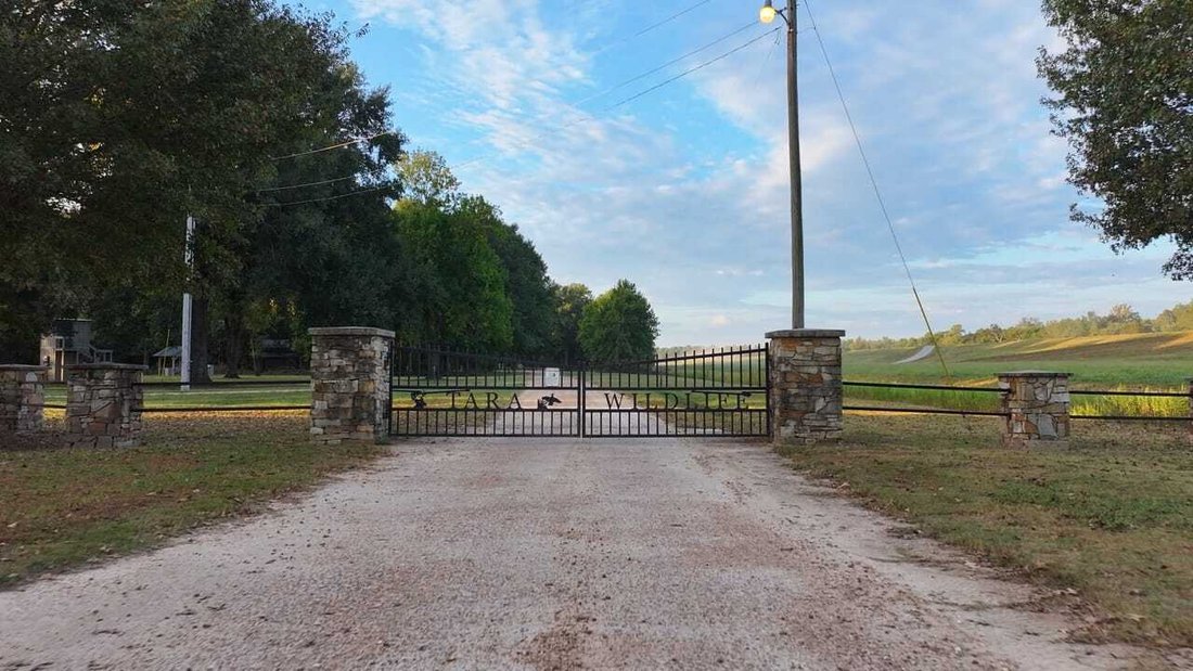 Land in Vicksburg, Mississippi, United States 1 - 17842843