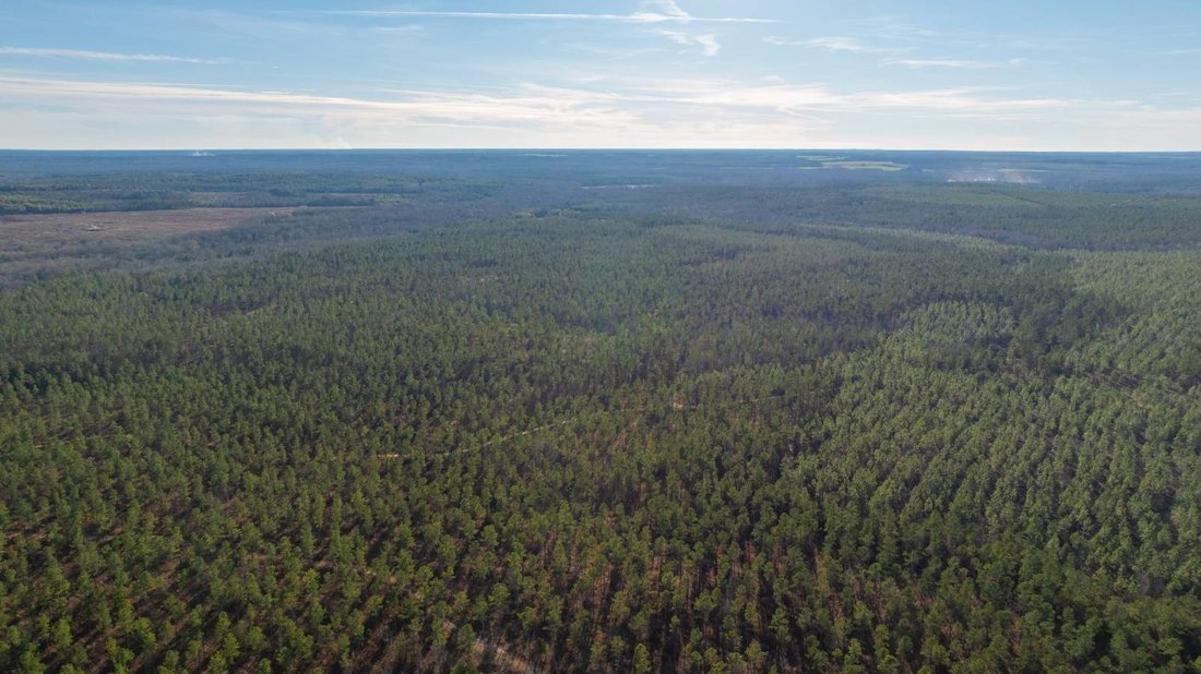 Land in Plains, Georgia, United States 1 - 17842831