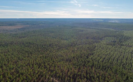 Land in Plains, Georgia, United States 1