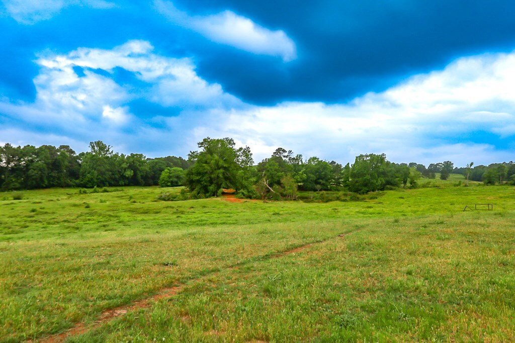 Land in Bronson, Texas, United States 4 - 17842550
