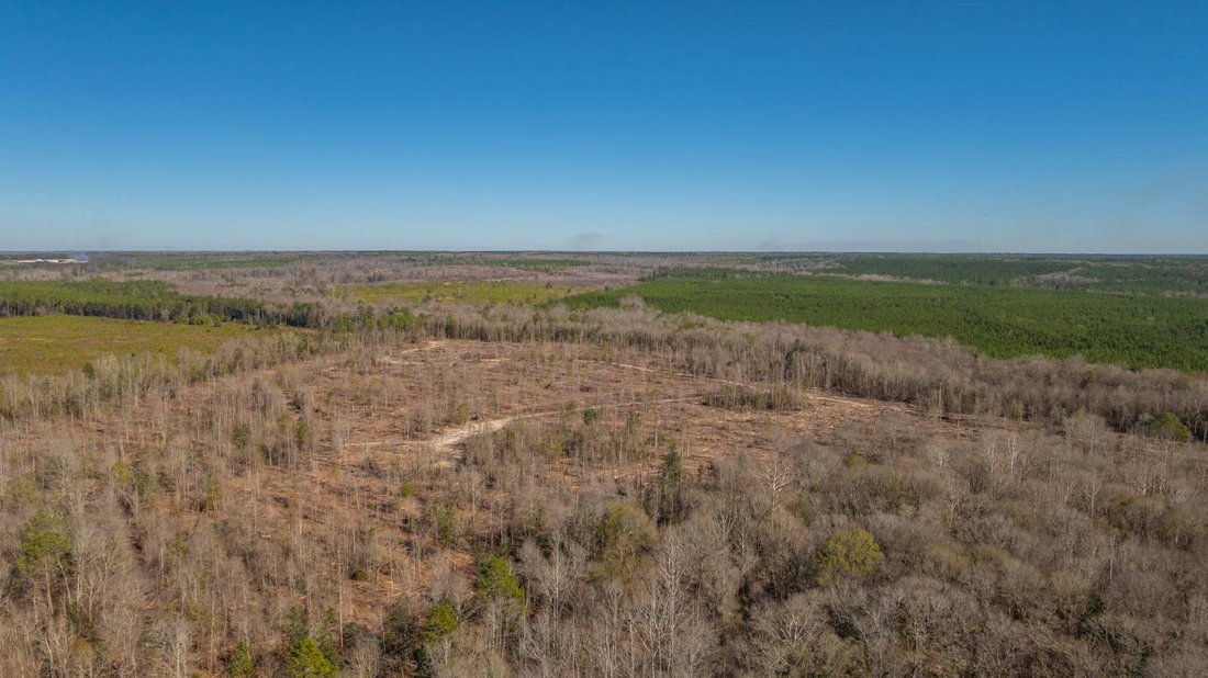 Land in Preston, Georgia, United States 4 - 17842780