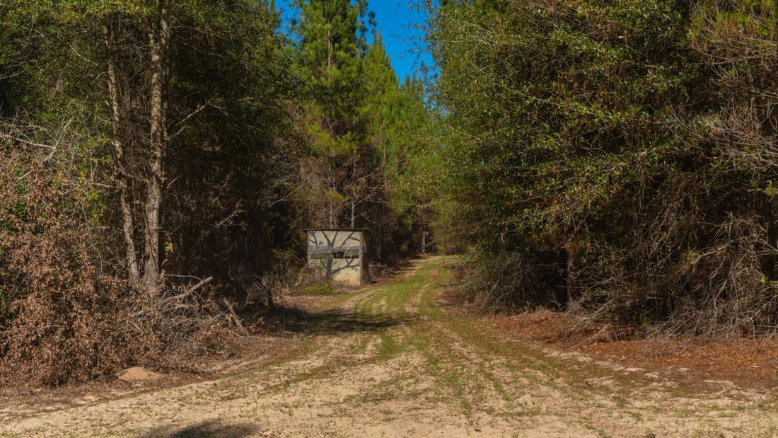 Land in Preston, Georgia, Vereinigte Staaten 1 - 17842780