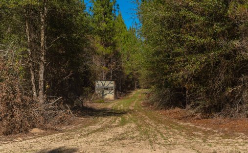 Terreno en Preston, Georgia, Estados Unidos 1
