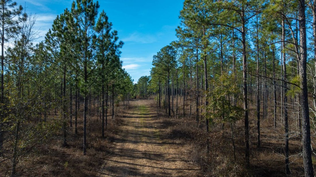 Land in Plains, Georgia, United States 5 - 17842831