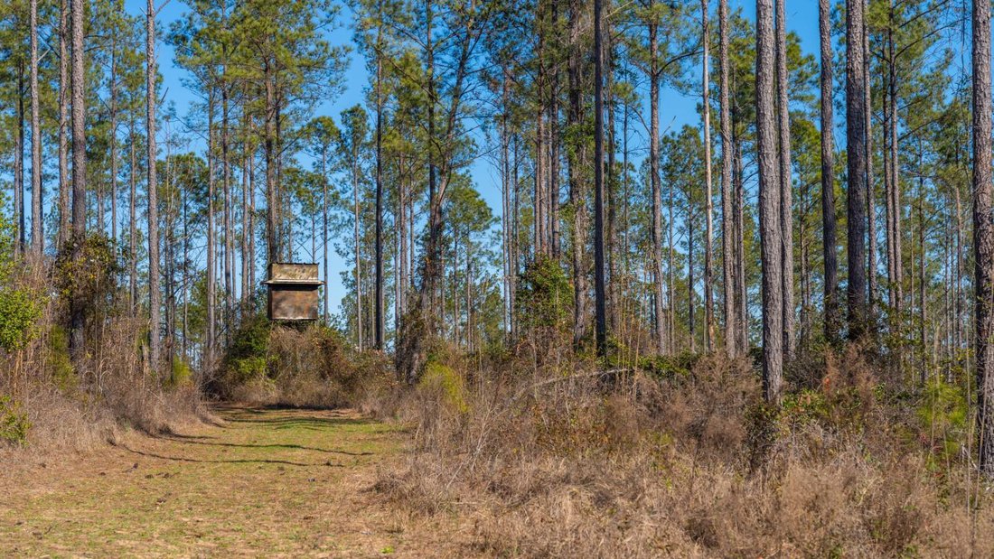 Land in Buena Vista, Georgia, United States 1 - 17842840