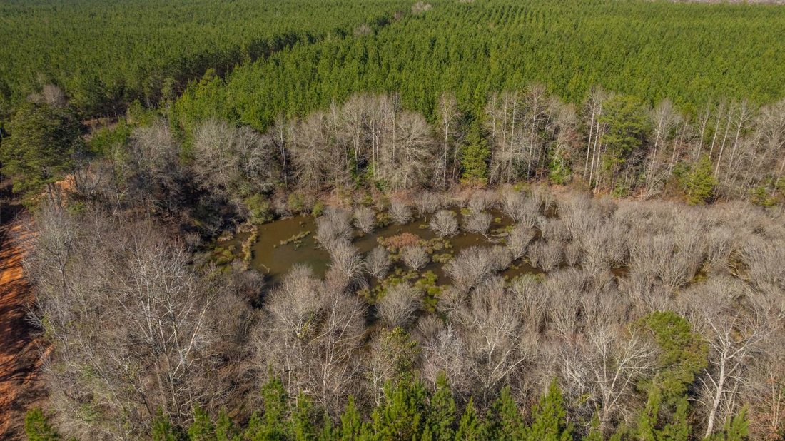Land in Preston, Georgia, United States 5 - 17842780
