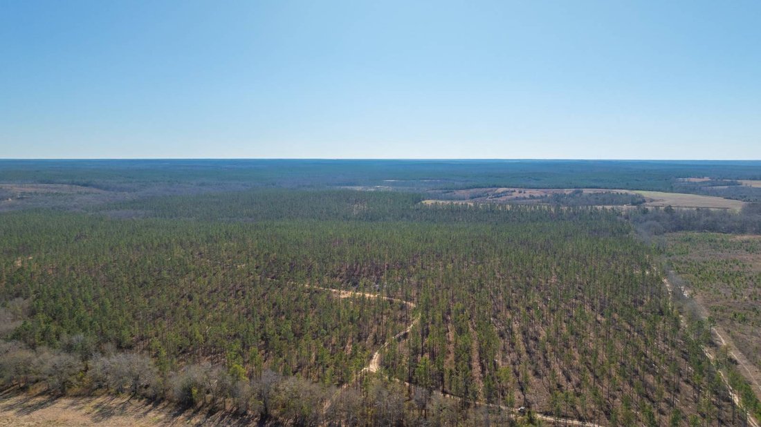 Land in Buena Vista, Georgia, United States 3 - 17842840