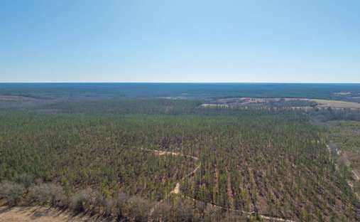 Land in Buena Vista, Georgia, United States 1