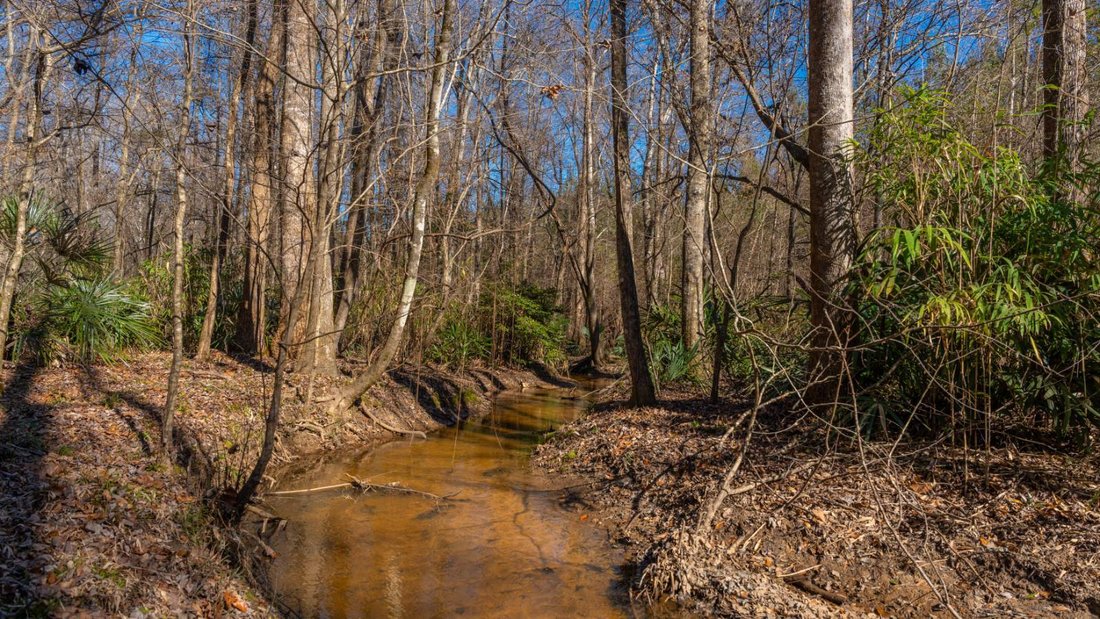 Land in Preston, Georgia, United States 1 - 17842780