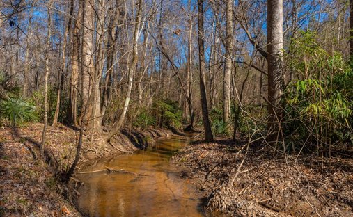 Land in Preston, Georgia, United States 1