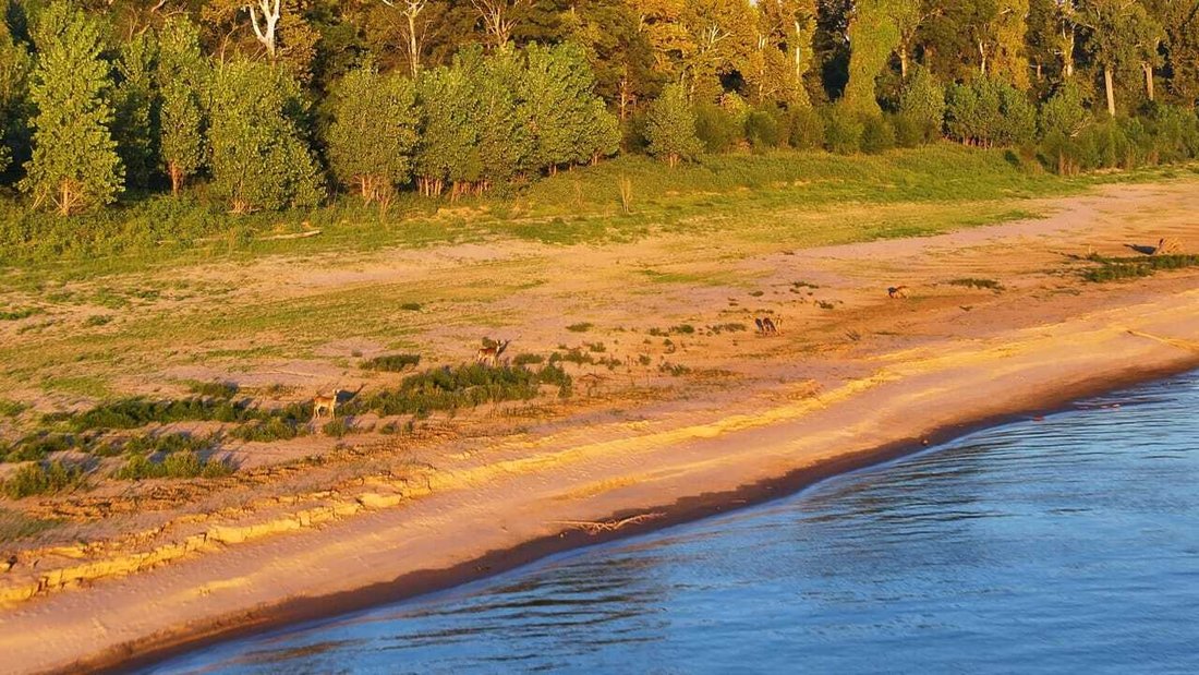 Land in Vicksburg, Mississippi, United States 4 - 17842843