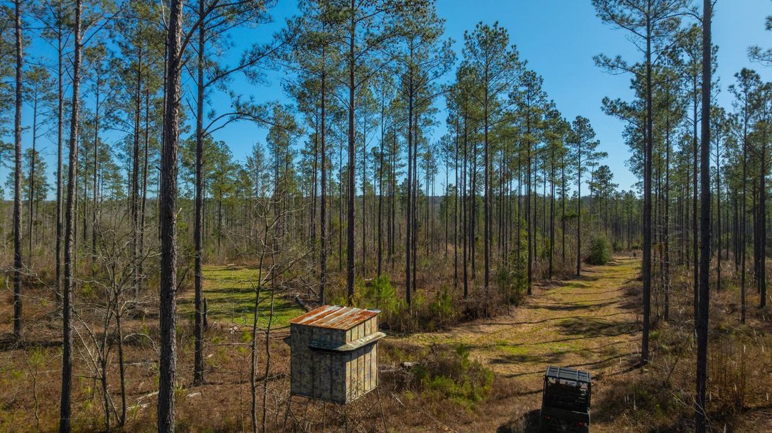 Land in Buena Vista, Georgia, United States 5 - 17842840