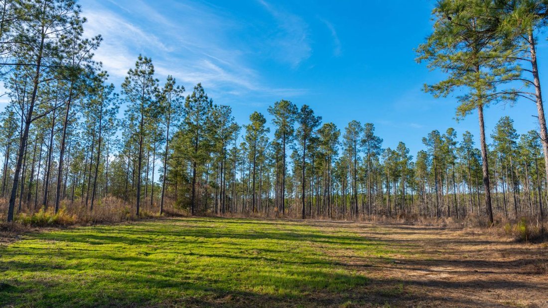 Land in Plains, Georgia, United States 3 - 17842831