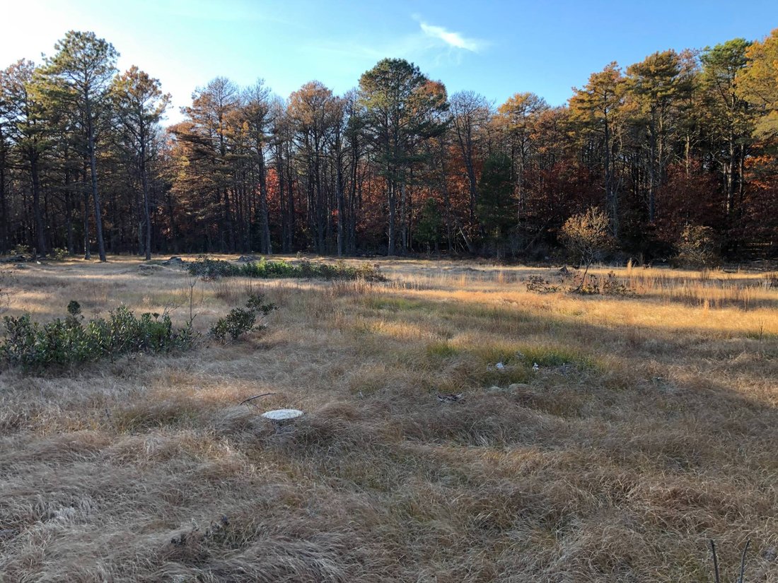 Land in East Hampton, New York, United States 4 - 17842768