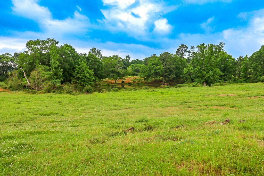 Land in Bronson, Texas, United States 3 - 17842550