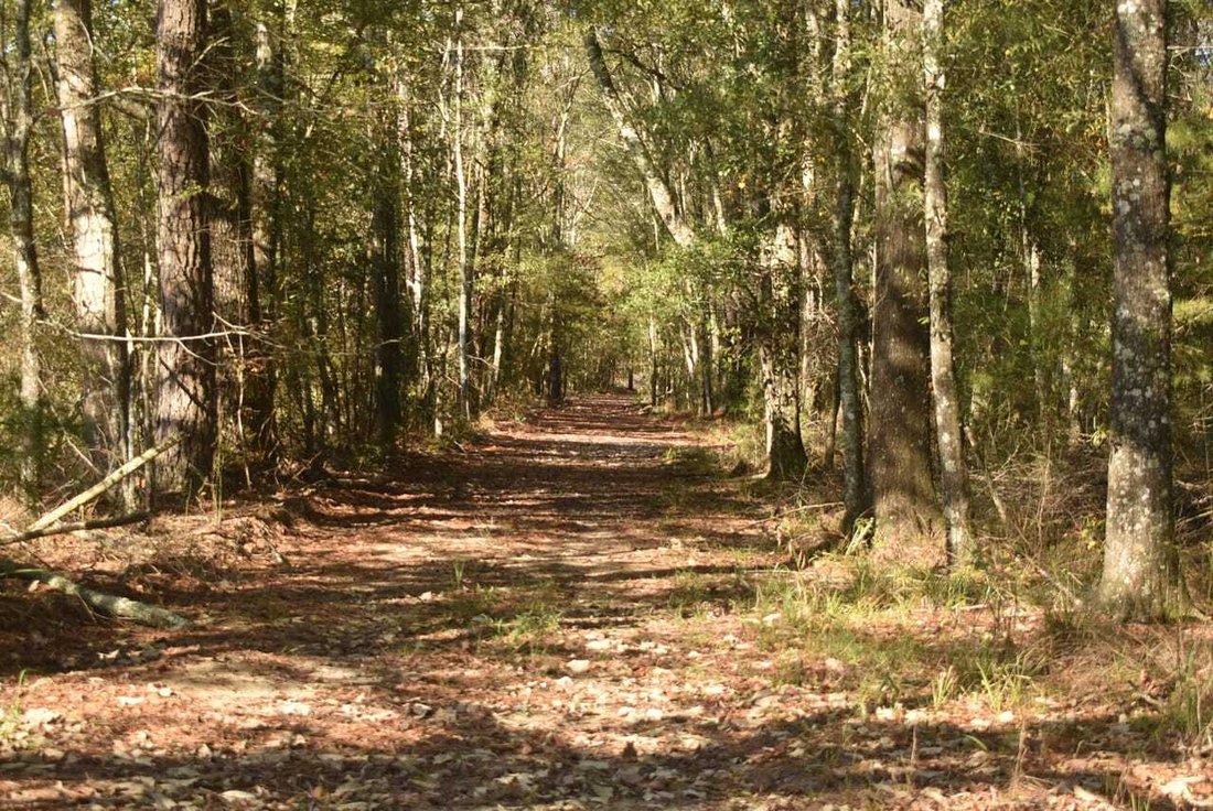 Land in Clinton, Louisiana, United States 4 - 17842845