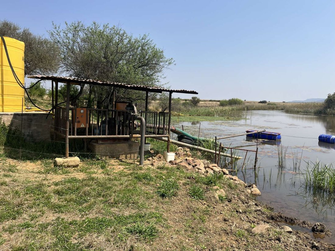Farm Ranch in Braamfontein, Gauteng, South Africa 5 - 17842637