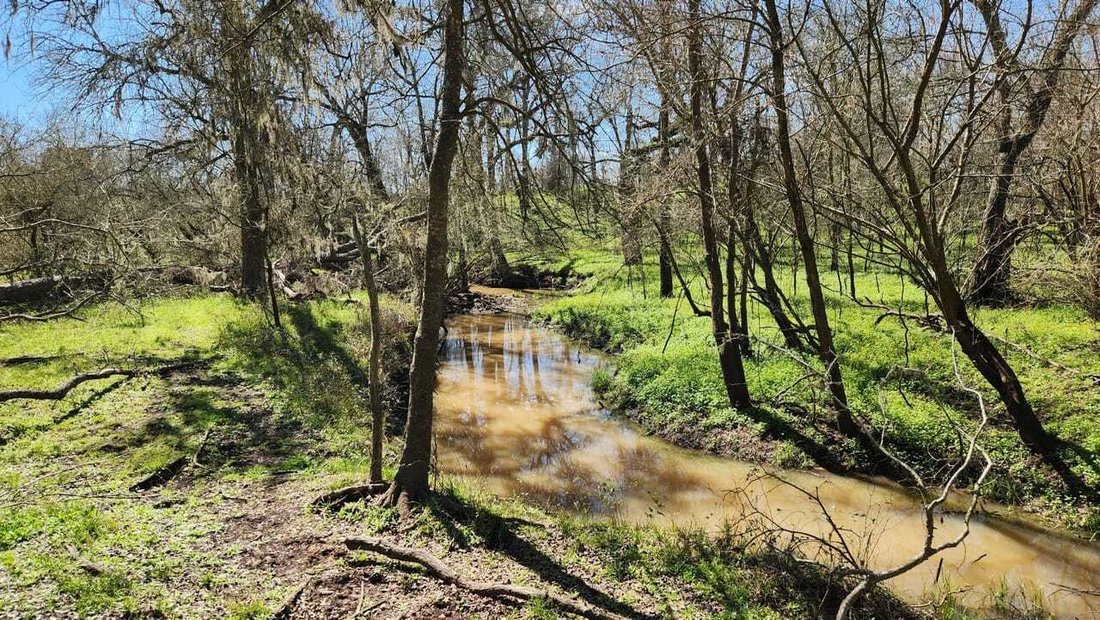 Land in Pattison, Texas, United States 2 - 17842823