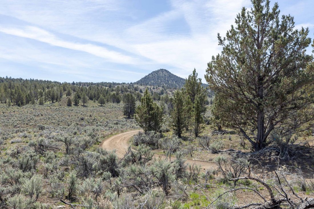 Land in Prineville, Oregon, United States 5 - 17842759