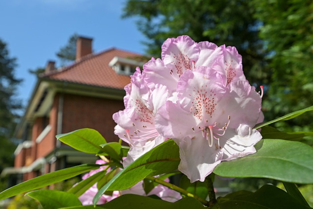 House in Wassenaar, South Holland, Netherlands 4 - 17842586