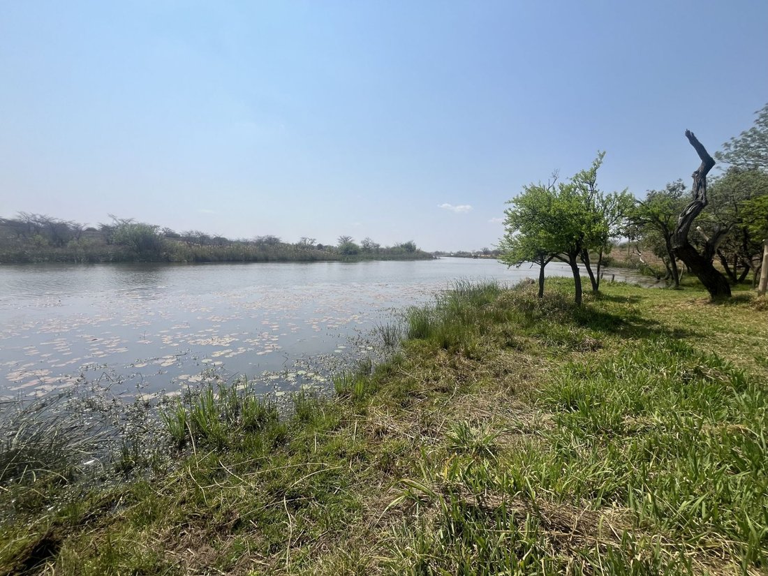 Farm Ranch in Braamfontein, Gauteng, South Africa 4 - 17842637