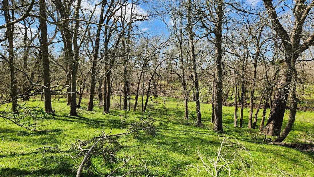 Land in Pattison, Texas, United States 1 - 17842823