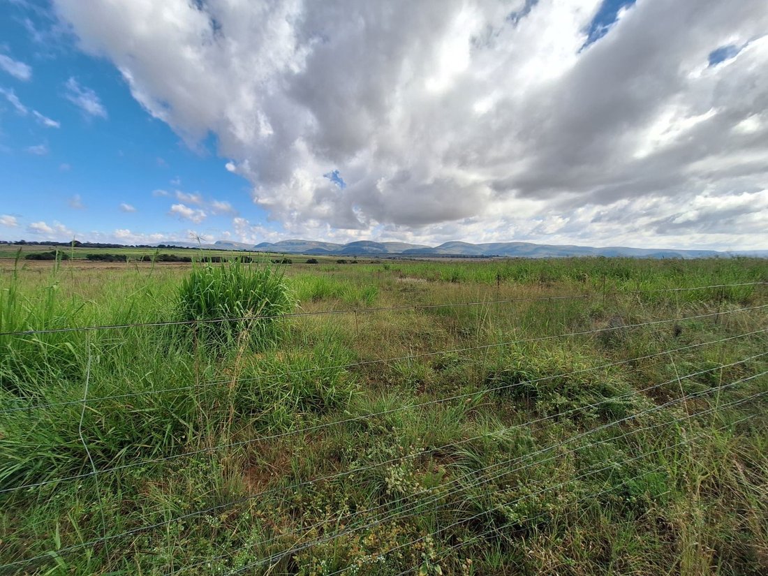 Farm Ranch in Braamfontein, Gauteng, South Africa 2 - 17842637