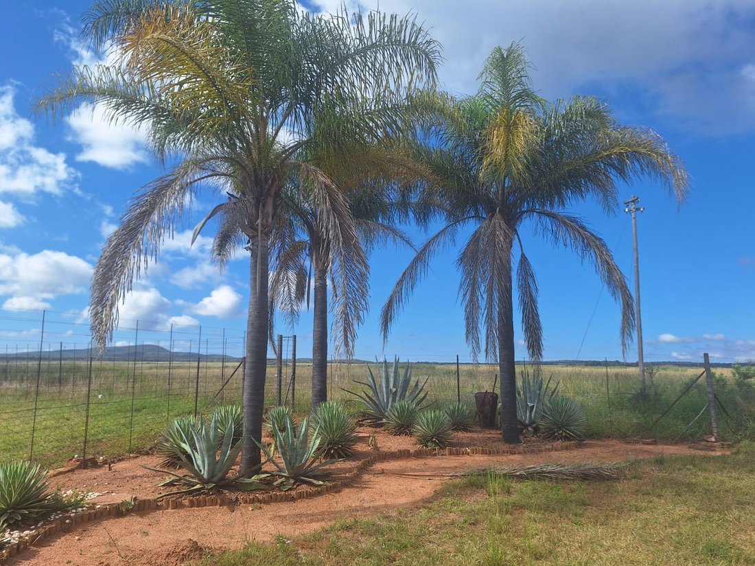 Farm Ranch in Braamfontein, Gauteng, South Africa 1 - 17842637