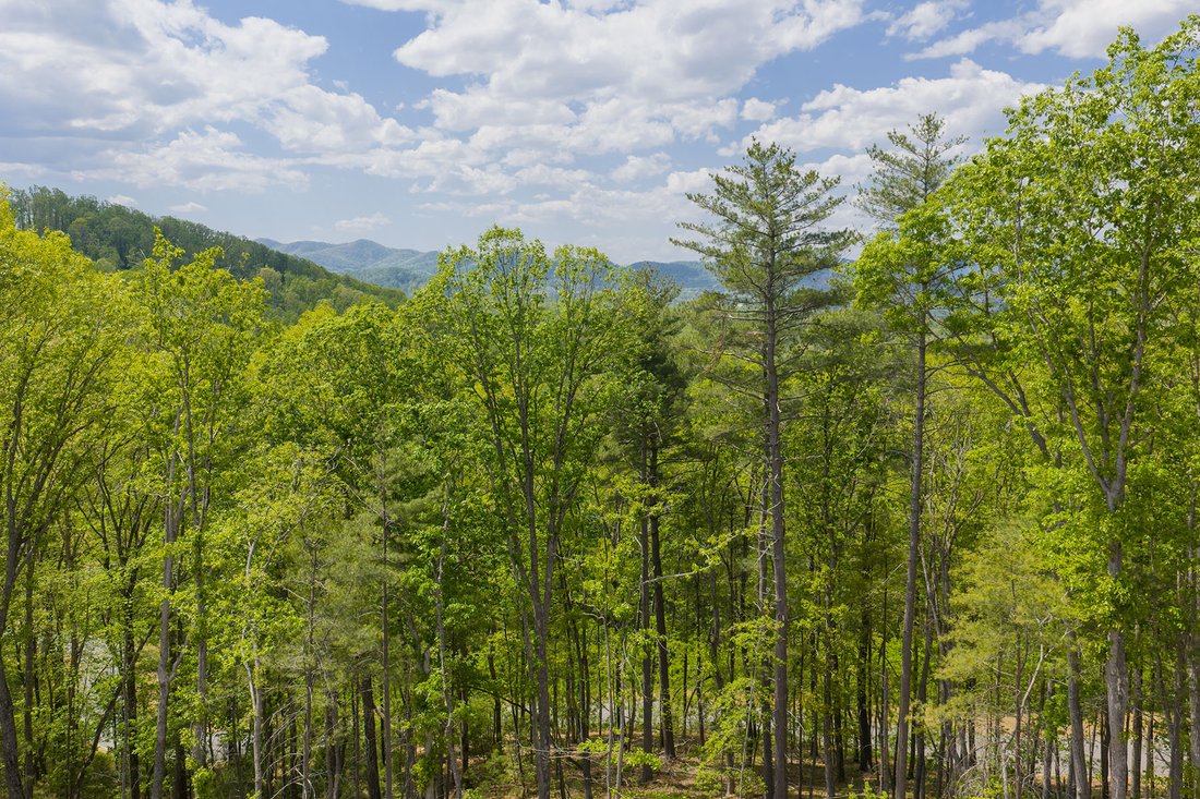 Land in Asheville, North Carolina, United States 4 - 17843206