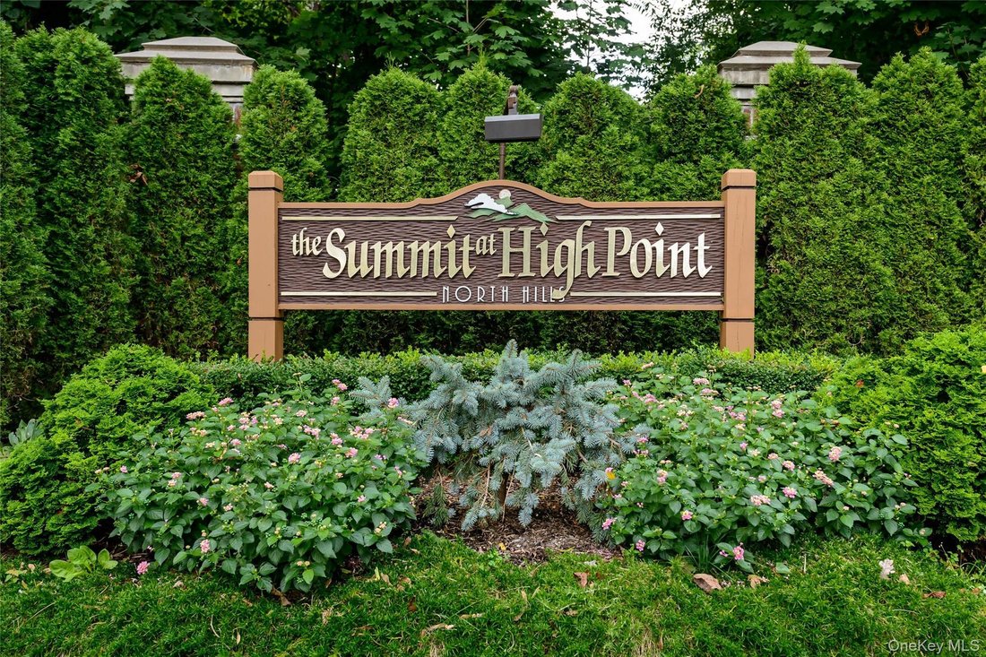 Condo in Albertson, New York, United States 3 - 17843322