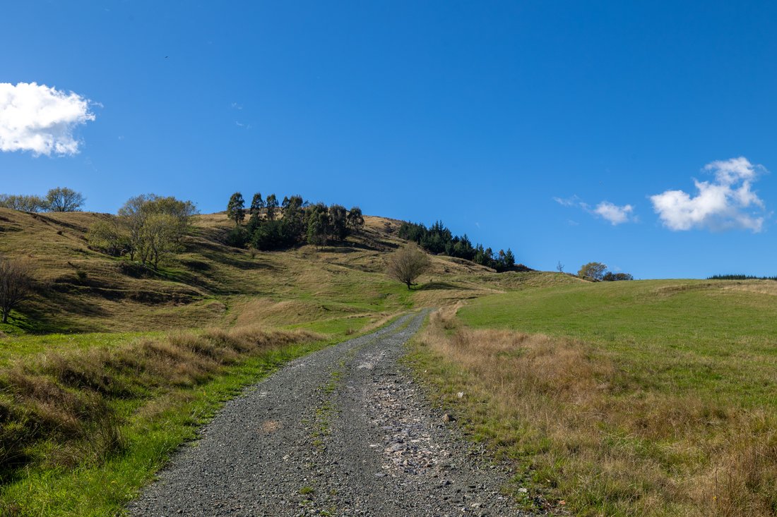 Land in Nelson, Nelson, Neuseeland 5 - 17843176