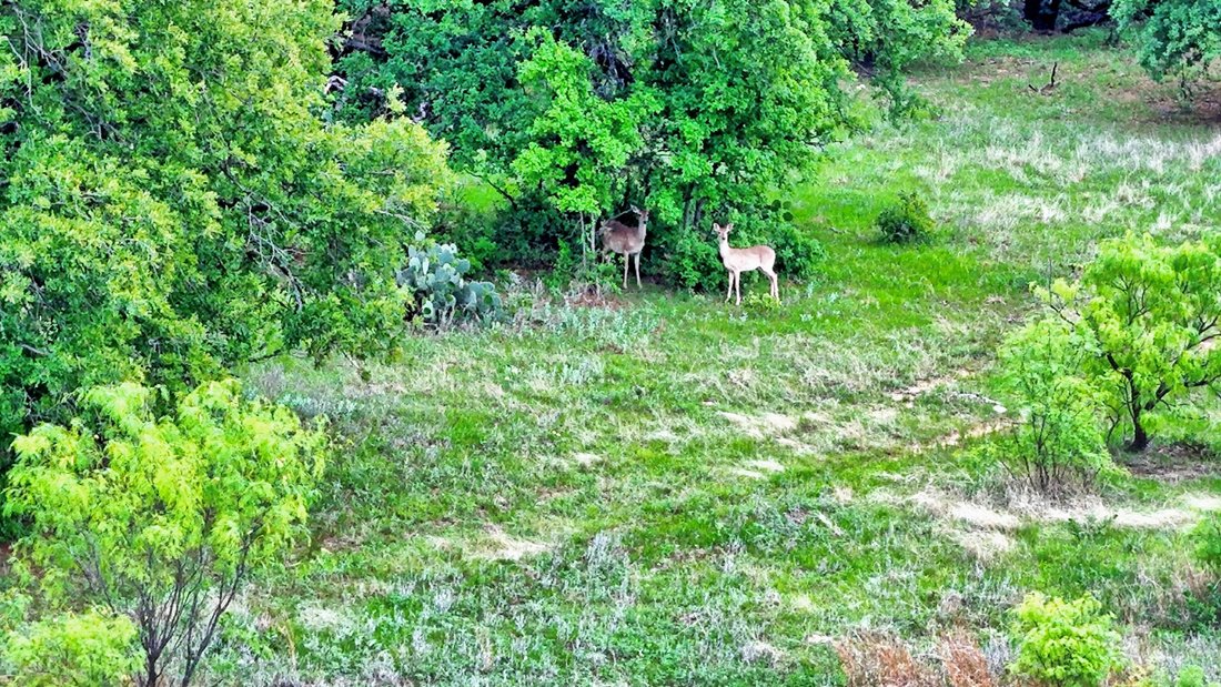 Farm Ranch in Henrietta, Texas, United States 5 - 17843218