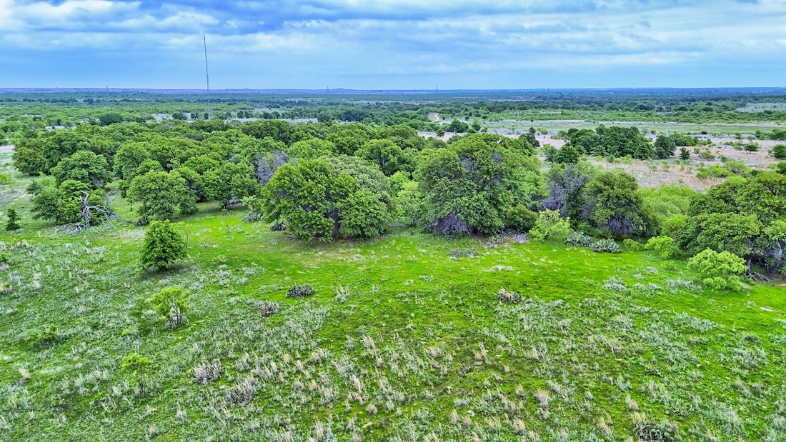 Farm Ranch in Henrietta, Texas, United States 1 - 17843218