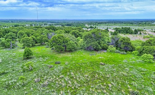 Farm Ranch in Henrietta, Texas, United States 1