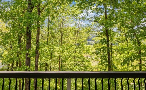 House in Waverly, Tennessee, United States 1