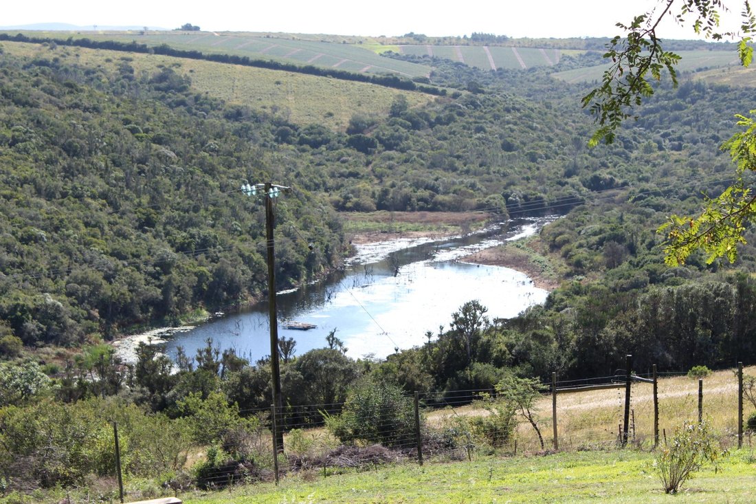 Farm Ranch in Bathurst, Eastern Cape, South Africa 1 - 17845402