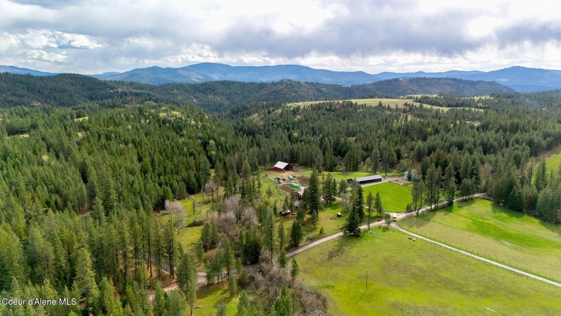House in St. Maries, Idaho, United States 3 - 17845831