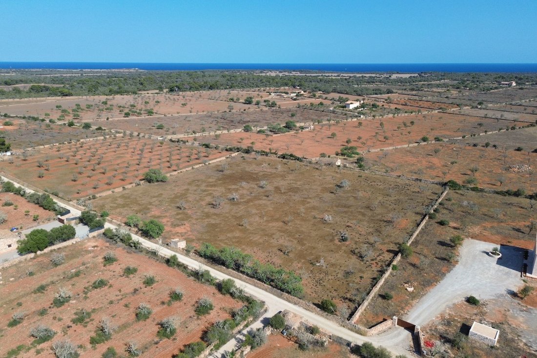 Terreno a Ses Salines, Isole Baleari, Spagna 1 - 17844808