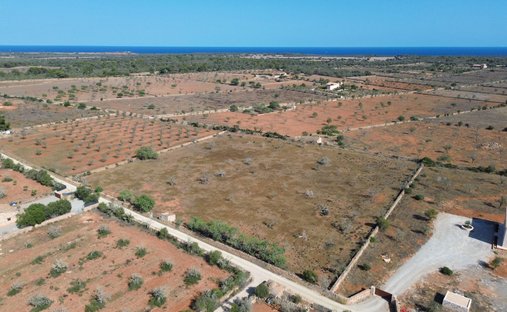 Terrain à Ses Salines, Îles Baléares, Espagne 1