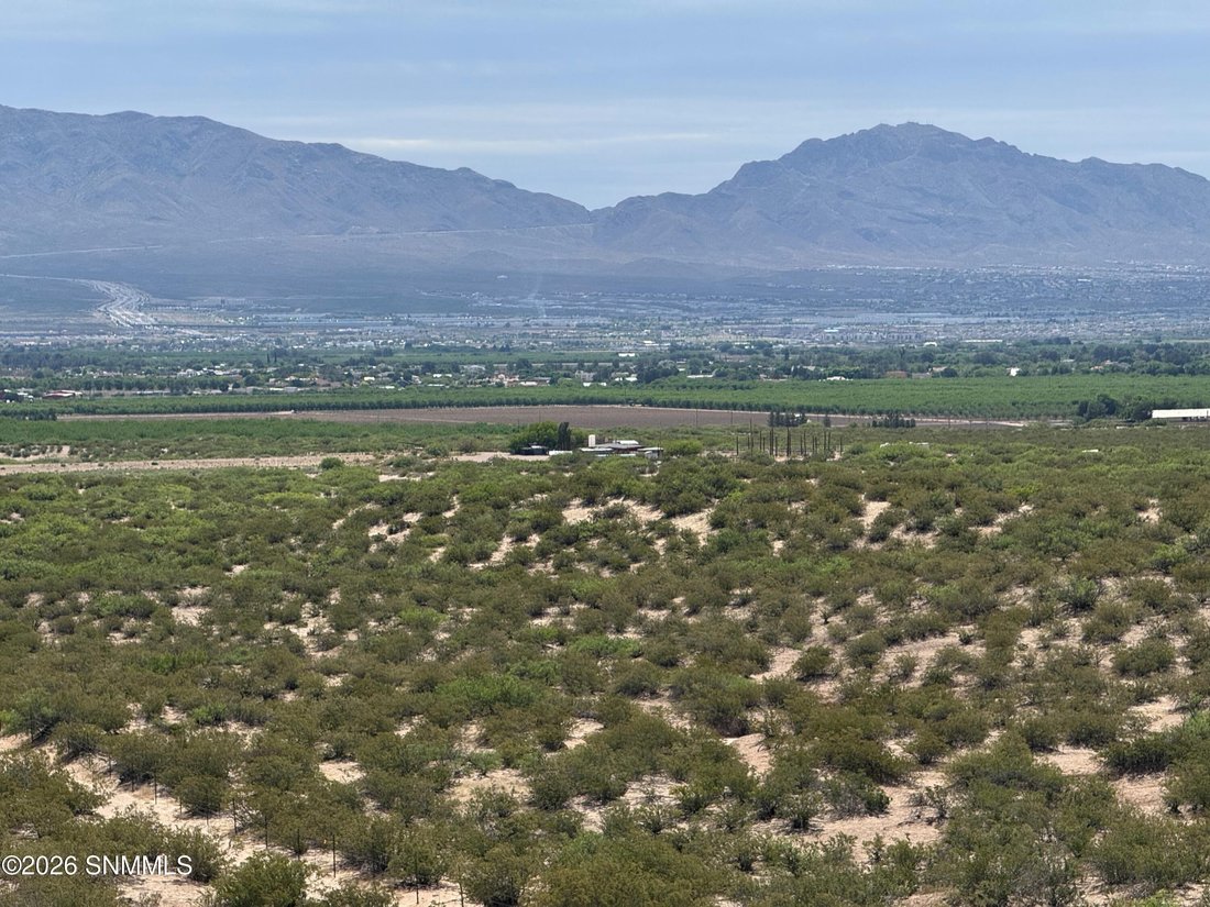 Land in Anthony, New Mexico, United States 3 - 17845534