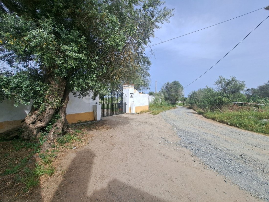 Finca à Beja (Salvador e Santa Maria da Feira), Beja, Portugal 3 - 17847919