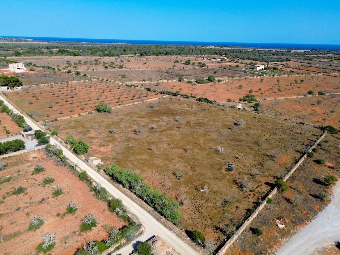 Terreno a Ses Salines, Isole Baleari, Spagna 3 - 17844808