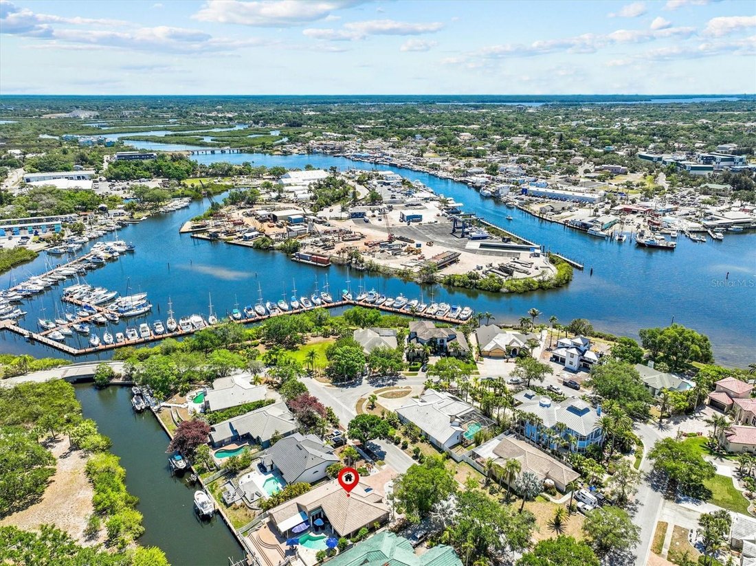 House in Tarpon Springs, Florida, United States 3 - 17844123