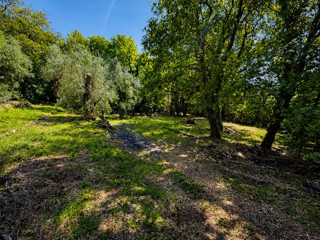 Villa in Tourrettes-sur-Loup, Provence-Alpes-Côte d'Azur, France 3 - 17847860