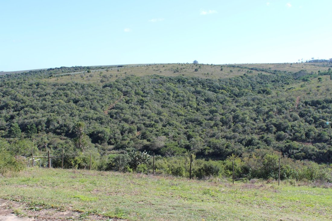 Farm Ranch in Bathurst, Eastern Cape, South Africa 3 - 17845402