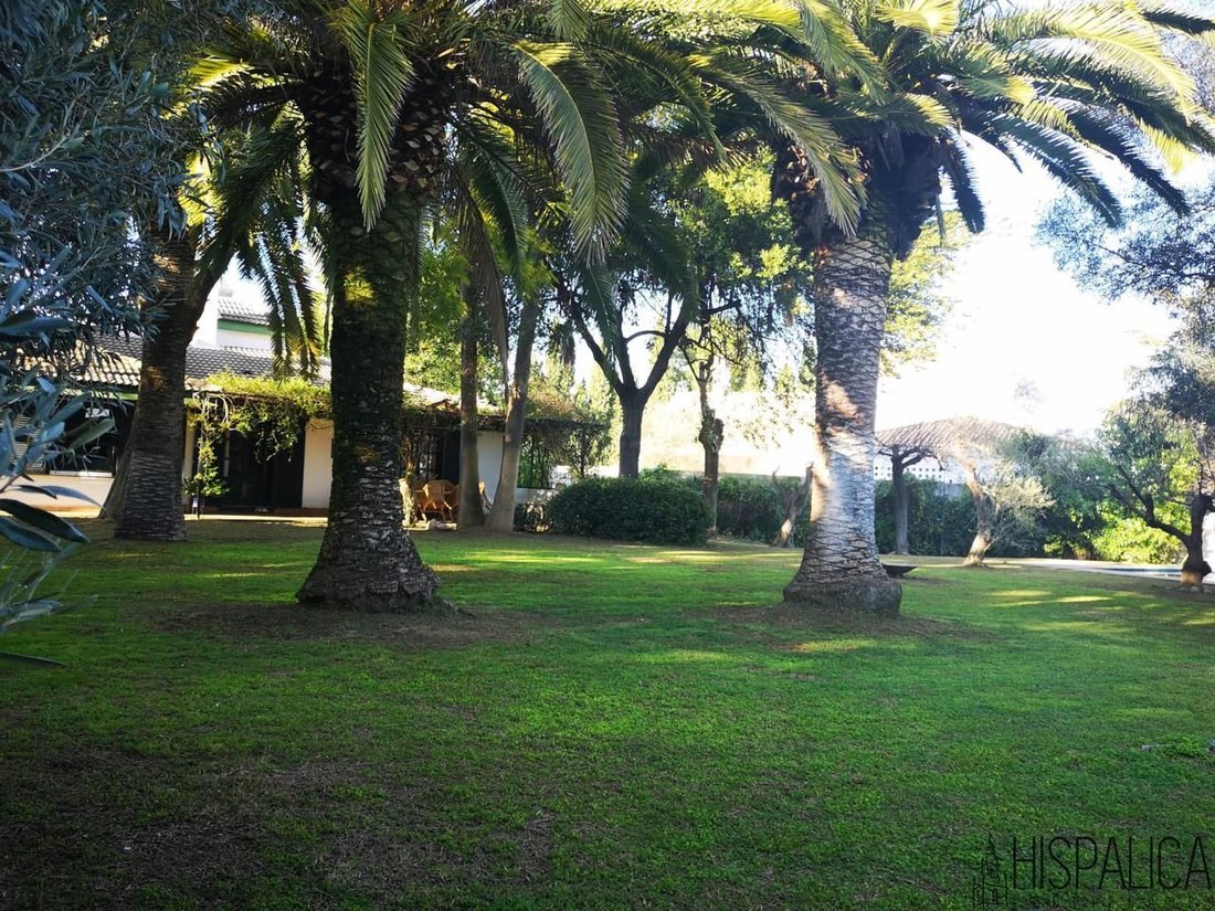 Villa in Mairena del Aljarafe, Andalusia, Spain 4 - 11189591