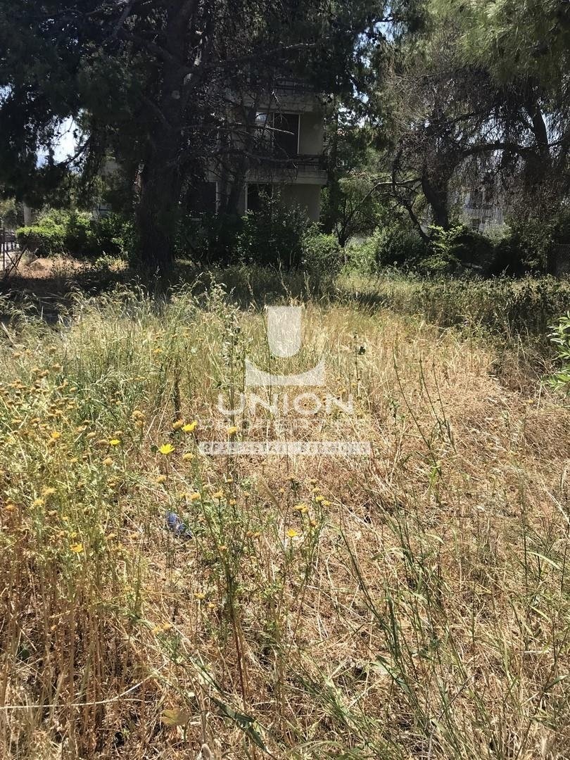 Land in Melissia, Attica, Greece 1 - 17848569