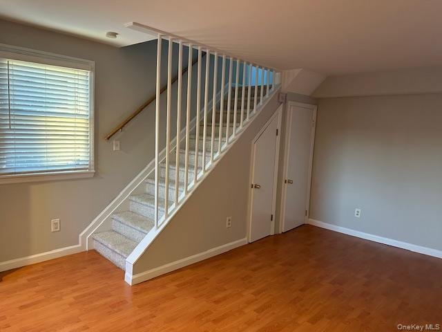 Port Washington, New York, United States 5 - 17844696